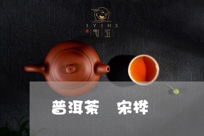 普洱茶 宋桦/2023042685672